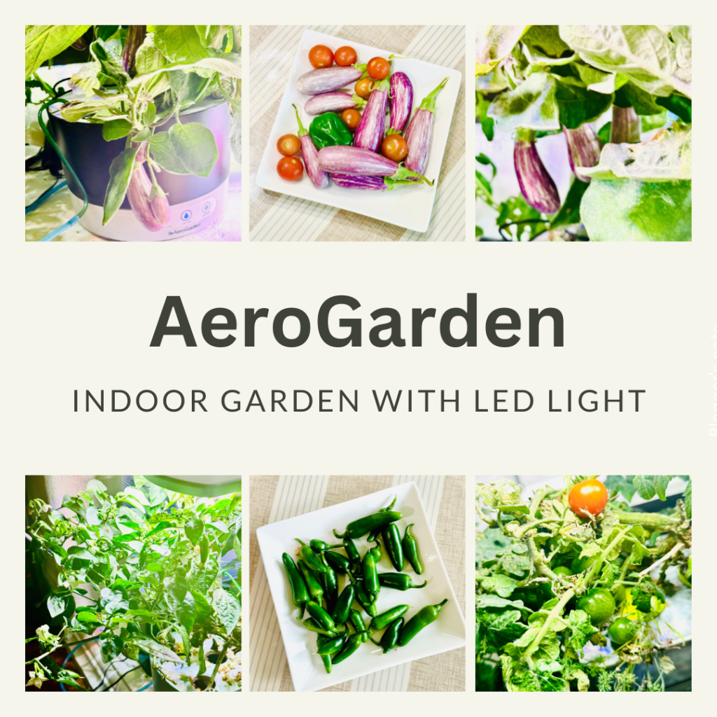 AeroGarden 101: A Beginner’s Guide to Easy Indoor&nbsp;Gardening